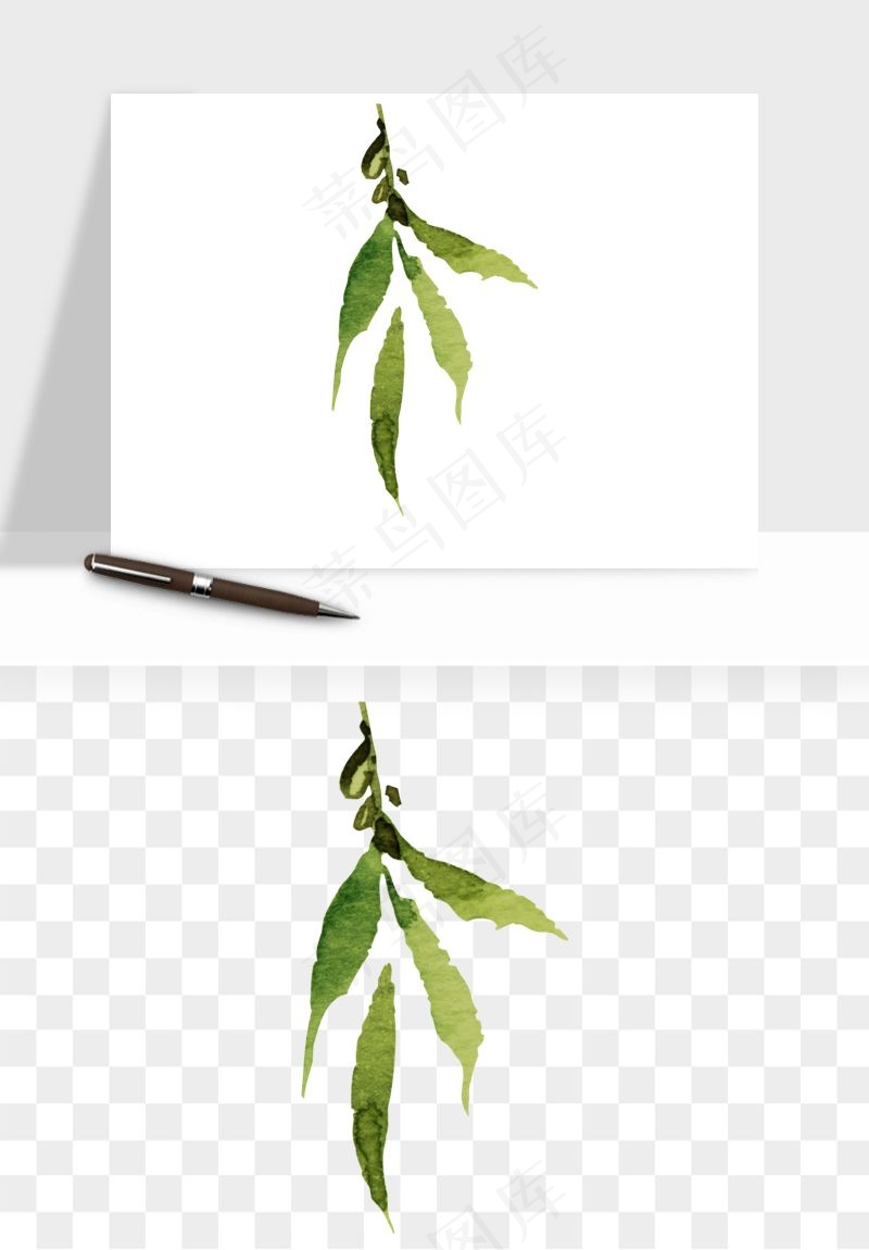 清新手绘植物png免抠
