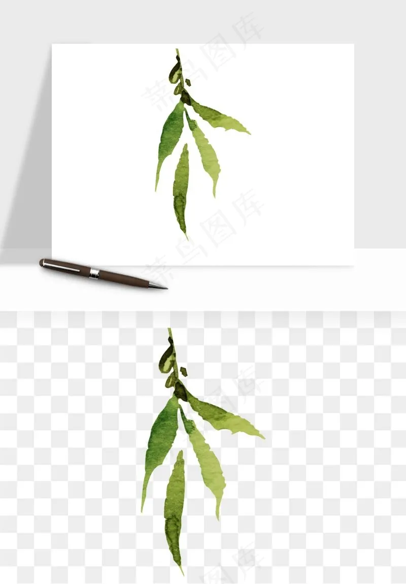 清新手绘植物png免抠
