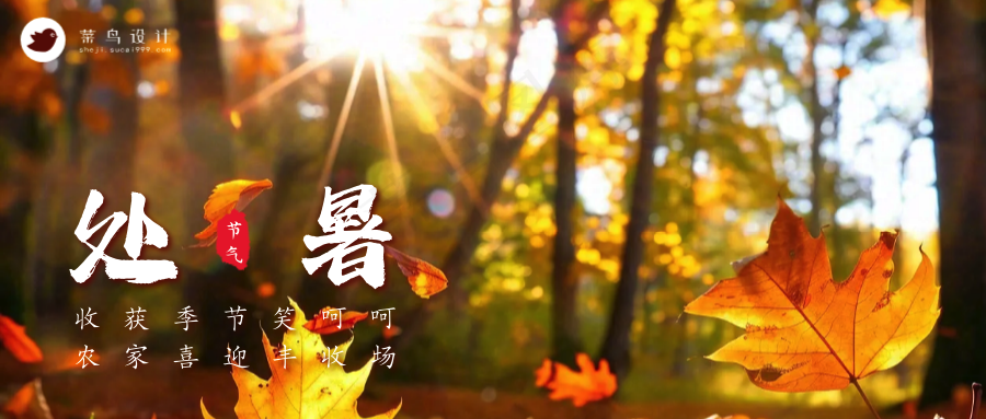 处暑公众号首图