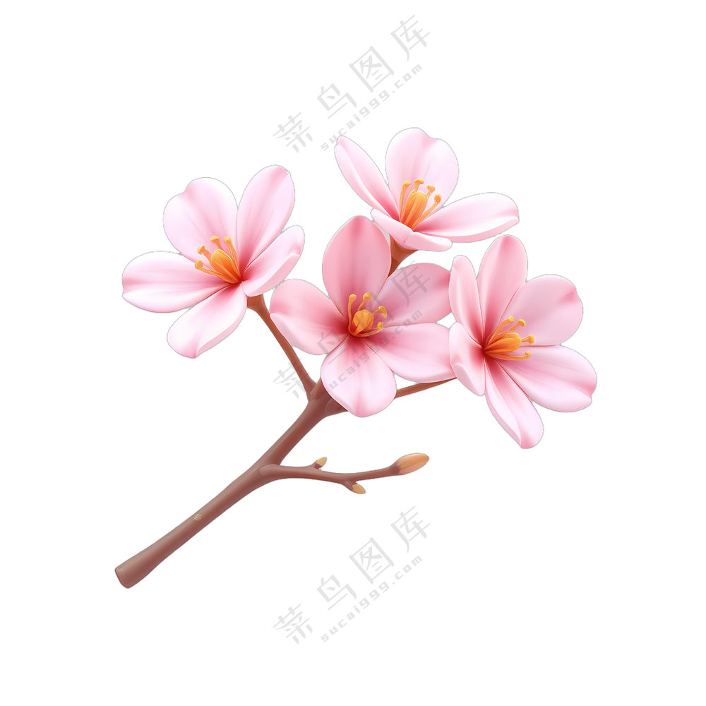 粉色花朵枝条