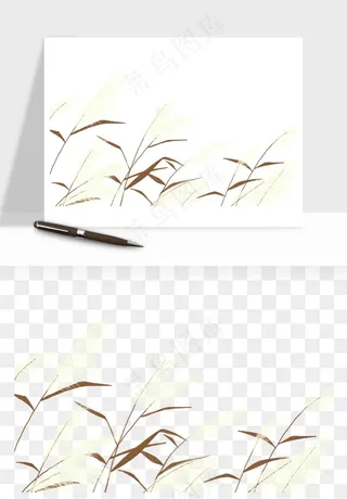 植物芦苇蒲苇香蒲png免抠