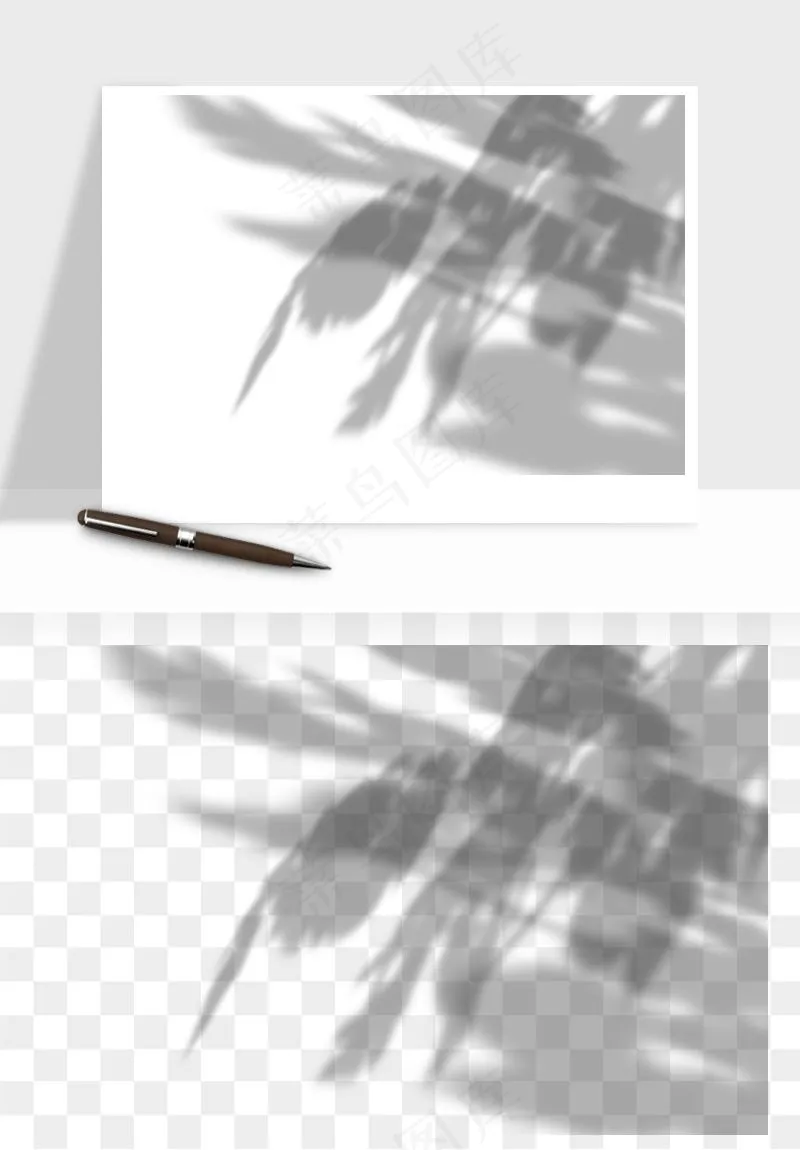 阴影植物窗户投影免抠元素