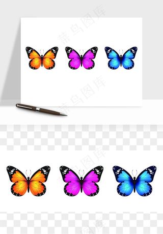 蝴蝶昆虫矢量png免抠