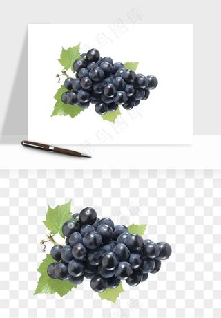 蓝莓水果png免抠