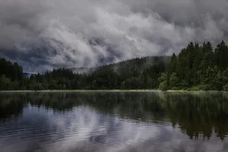 静谧山林湖，暗灰映翠色