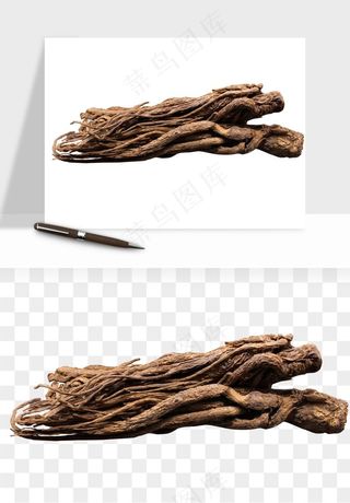 中药养生药材png免抠