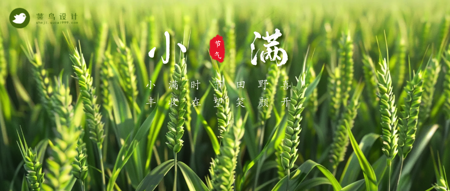 小满公众号首图