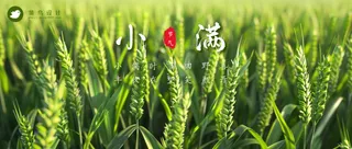 小满公众号首图