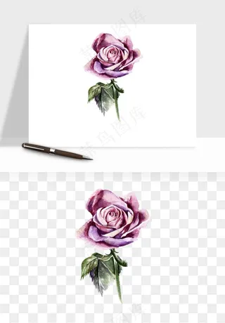 水彩复古花卉png免抠