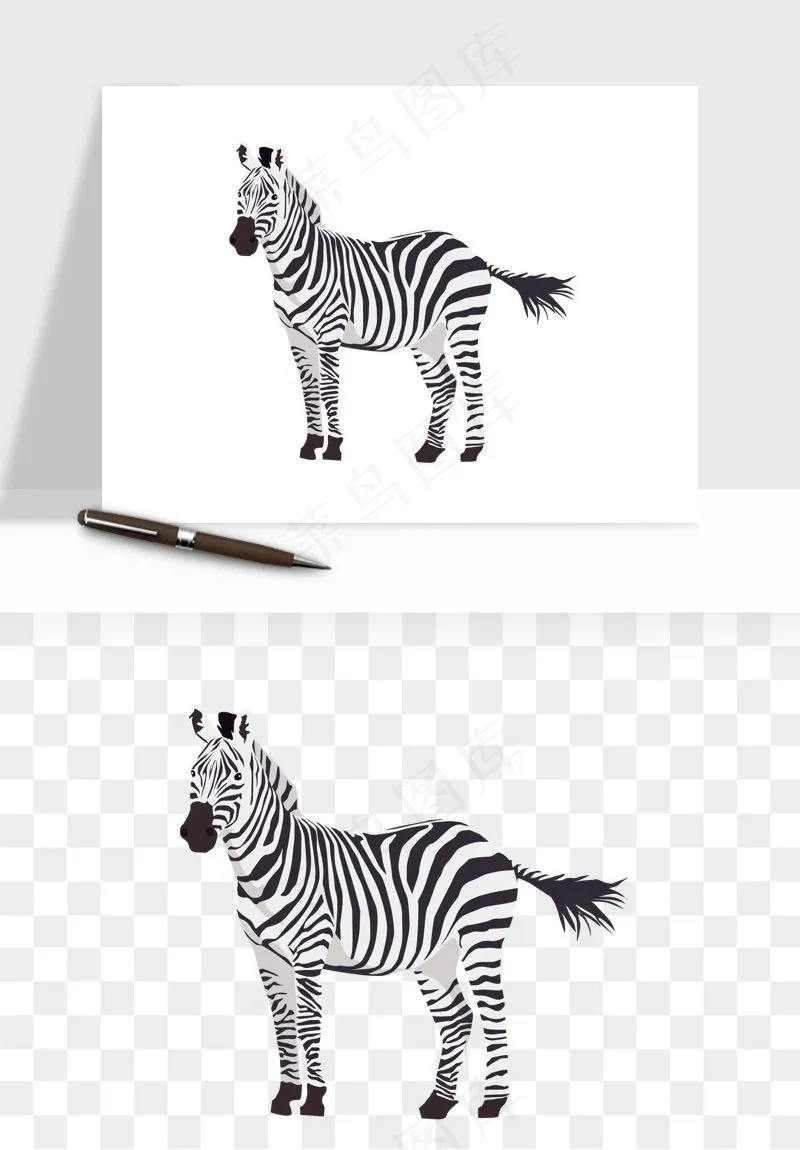 斑马动物png免抠