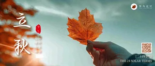 立秋公众号首图