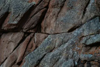 静谧湖光森林静赏图