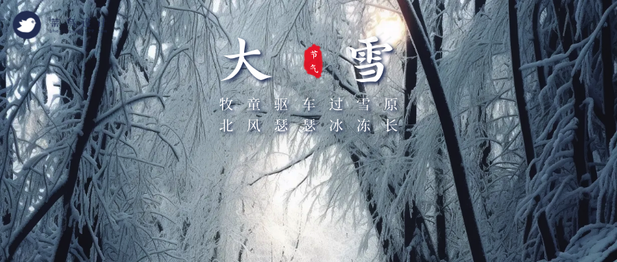 大雪公众号首图