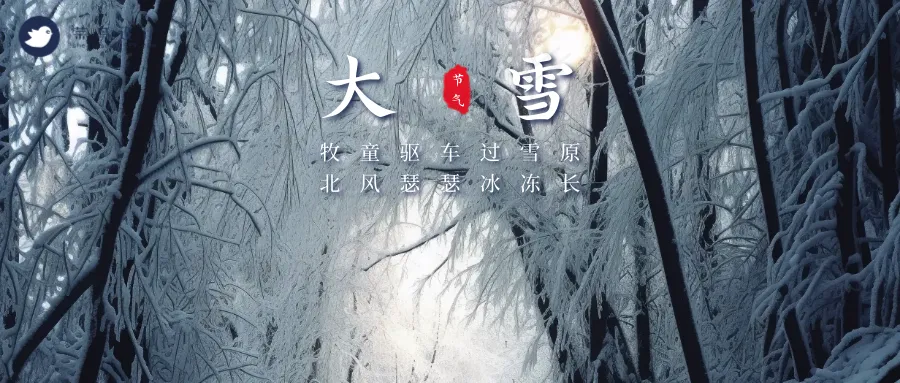 大雪公众号首图