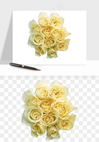 白玫瑰花枝花束png免抠