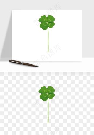 手绘四叶草幸运植物png免抠