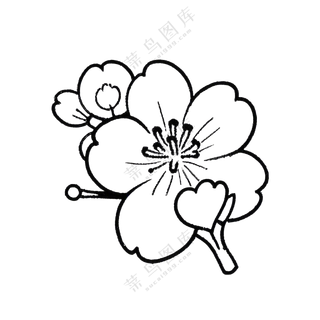 桃花枝条黑白简笔画春分免扣图