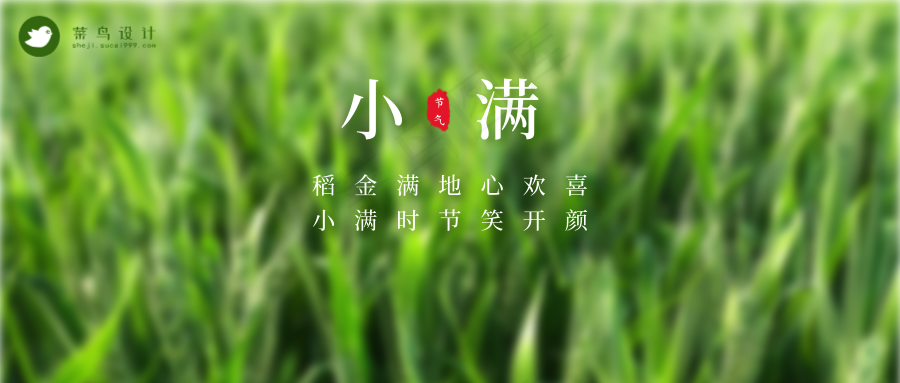 小满公众号首图