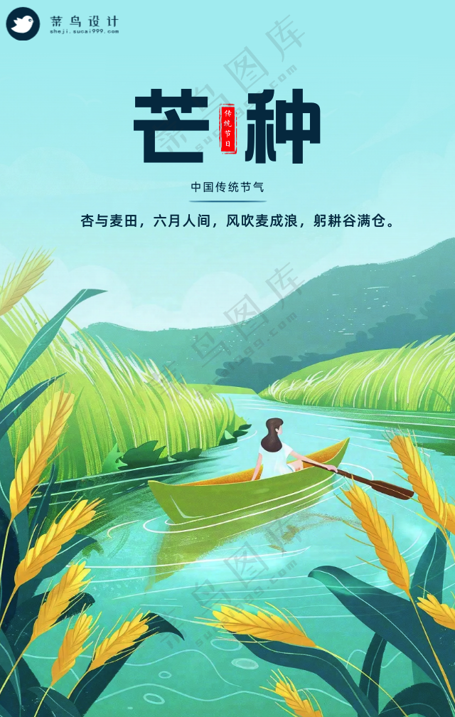 芒种手机海报