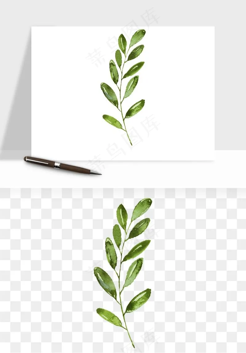 清新手绘植物png免抠
