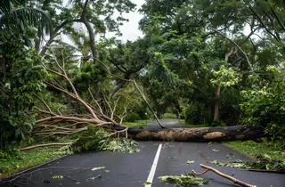 台风预警天气自然灾害