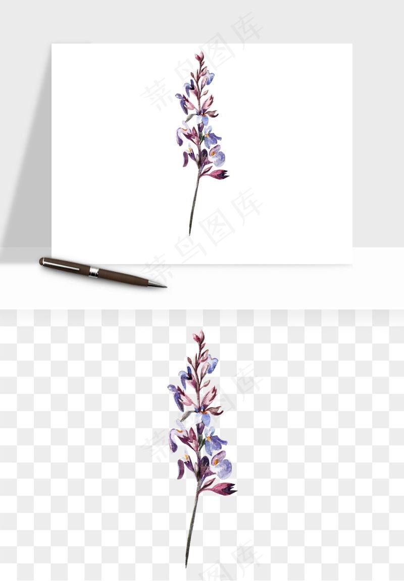 水彩复古植物花卉png免抠