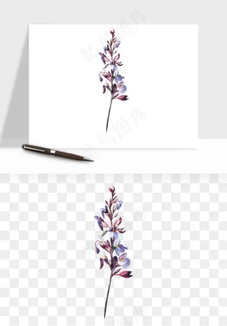 水彩复古植物花卉png免抠