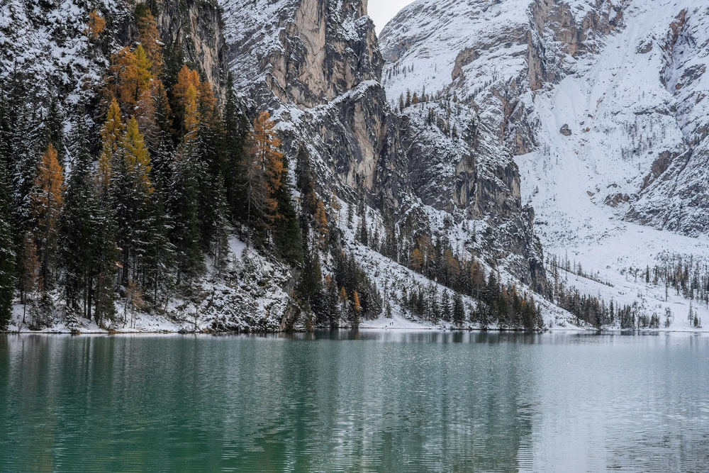 静谧山水间，雪覆秋林映