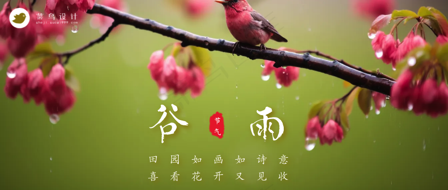谷雨公众号首图