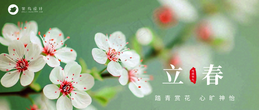 立春公众号首图