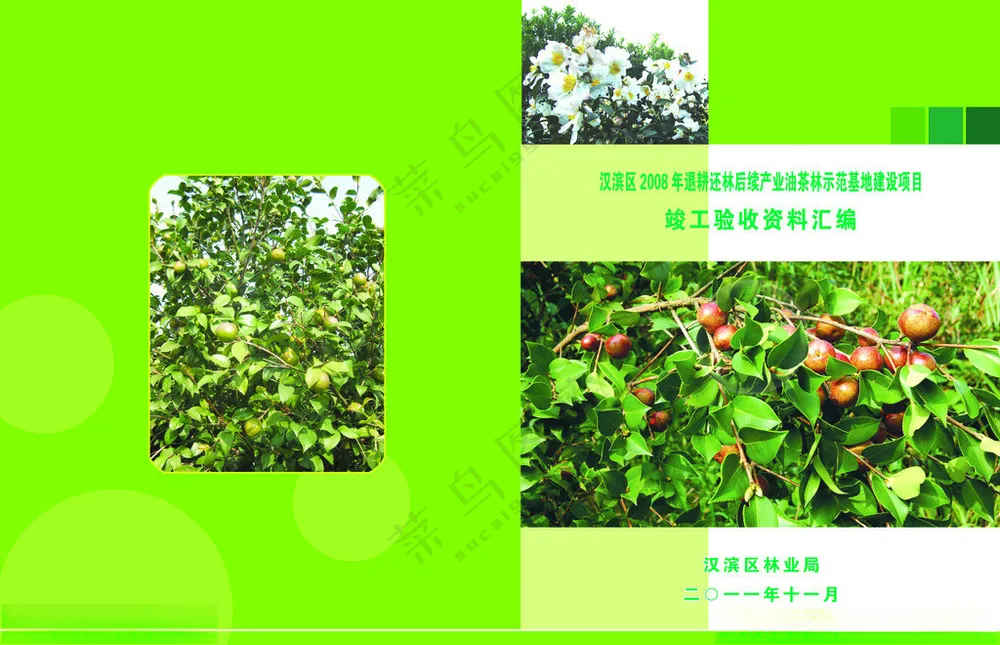 林业封面林业封面油茶林