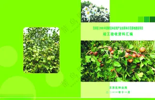 林业封面林业封面油茶林