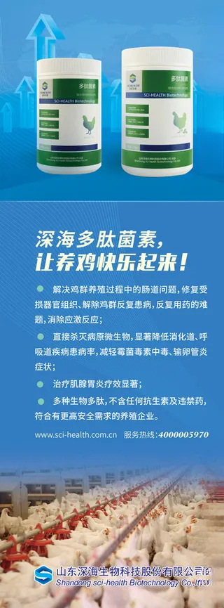 鸡饲料添加剂 广告猪饲料安全