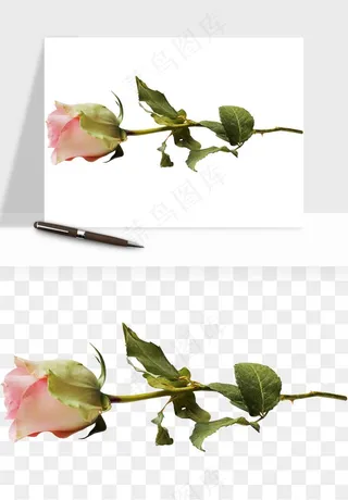 复古鲜花玫瑰png免抠