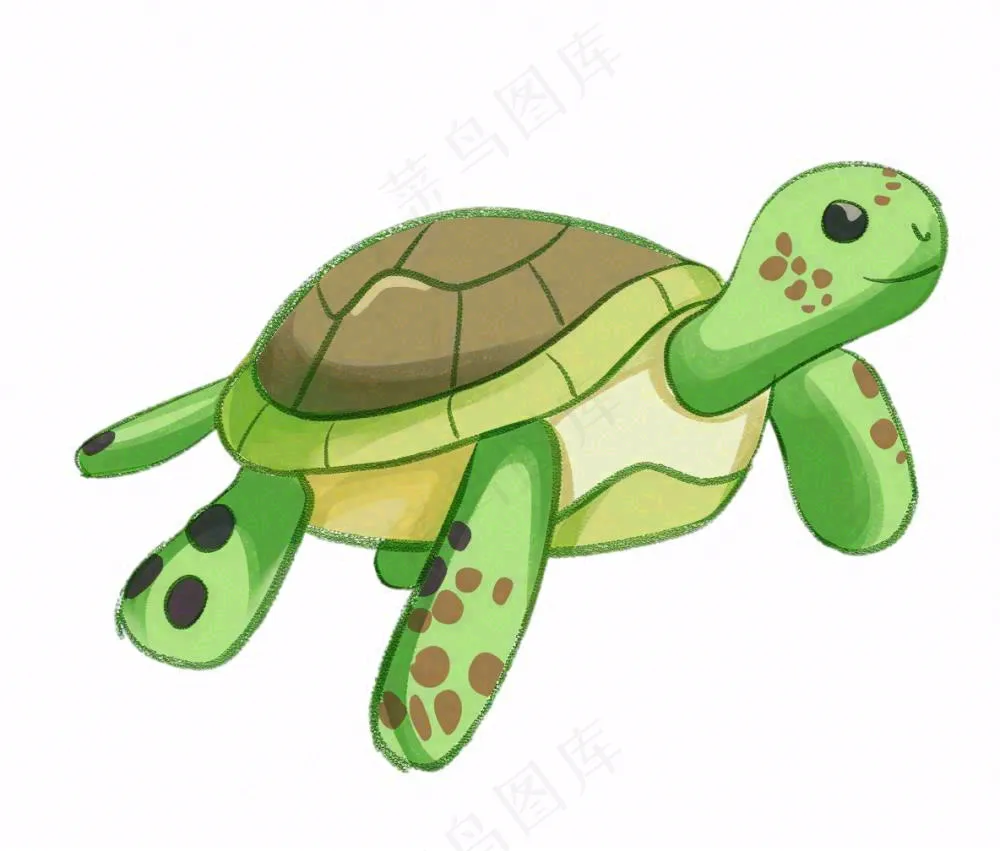 乌龟动物海洋动物免抠
