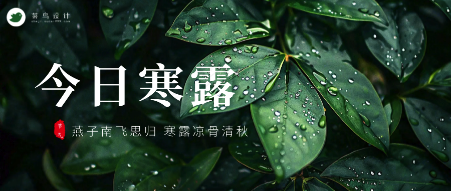 寒露公众号首图