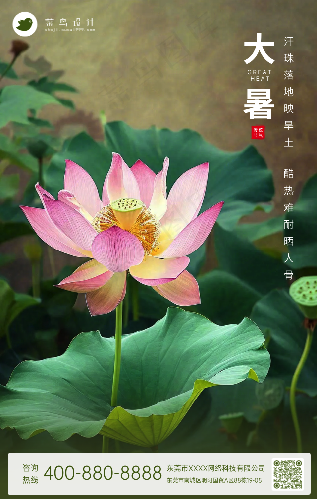 大暑手机海报