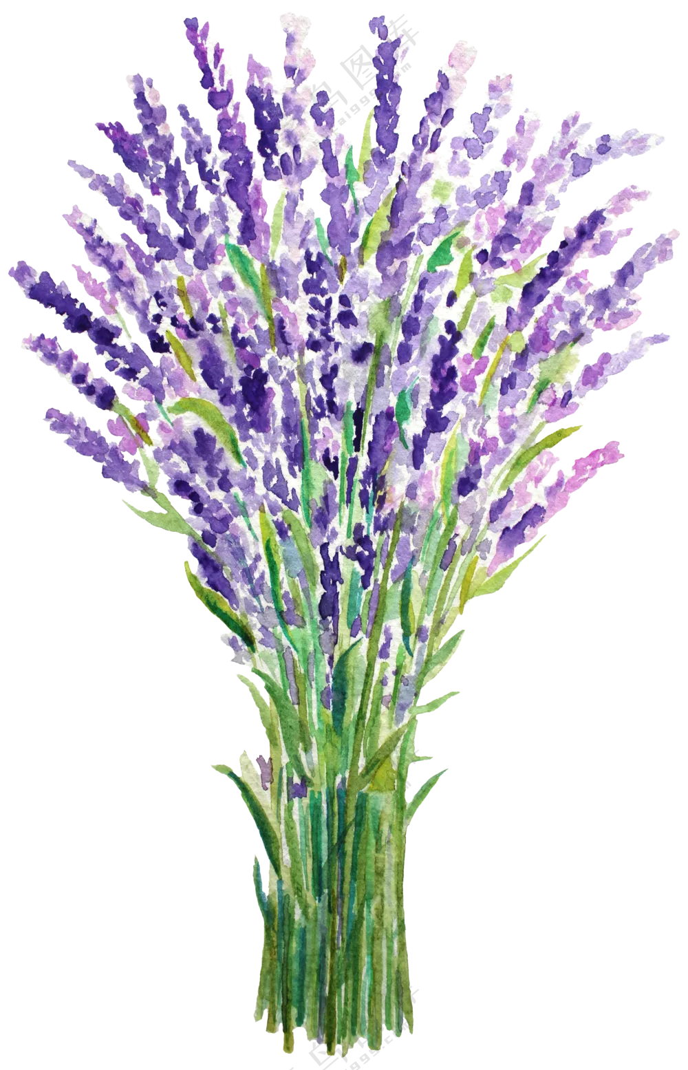 水彩手绘创意花束元素免抠图片素材