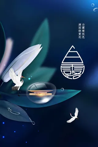 白露节气传统活动海报