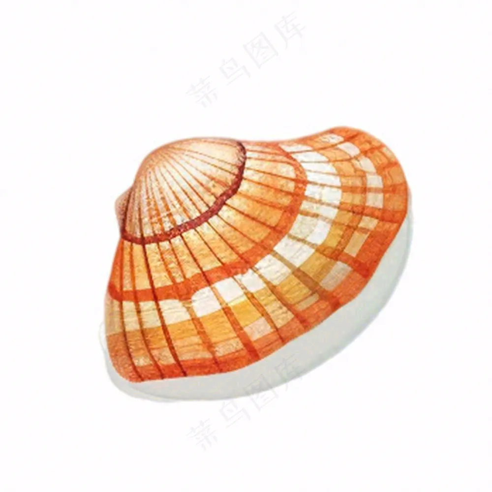 海洋贝壳海螺生物卡通插画免抠