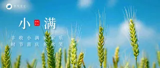 小满公众号首图