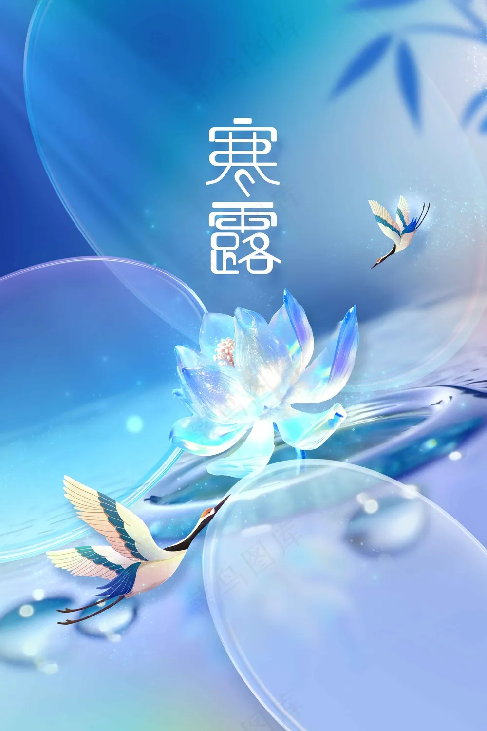 寒露节气传统活动宣传海报