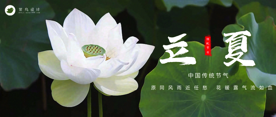 立夏公众号首图