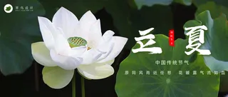 立夏公众号首图