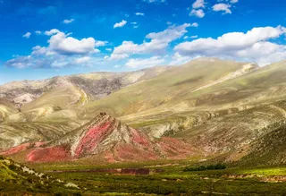 蓝天下的金色田野