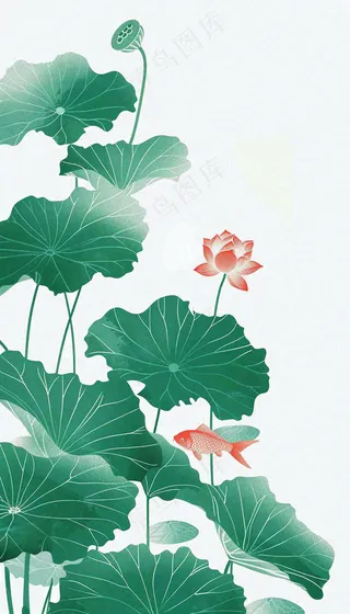 夏天荷花荷叶清凉小清新淡雅立夏夏至暑插画背景