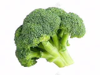 西蓝花蔬菜免抠