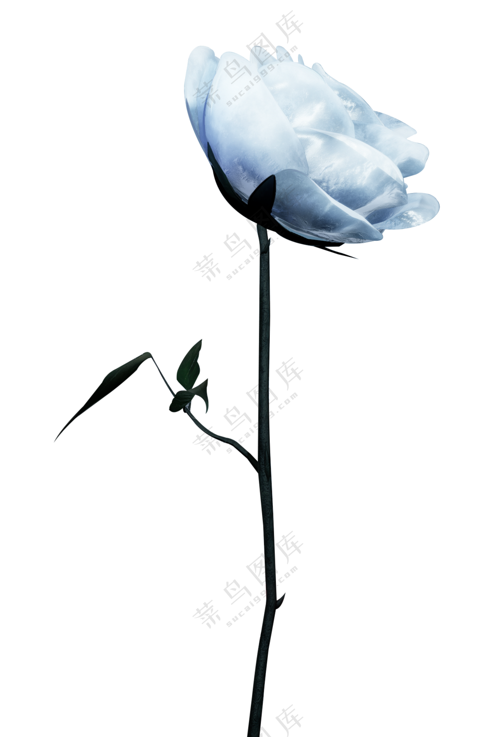 唯美清新花枝免扣素材