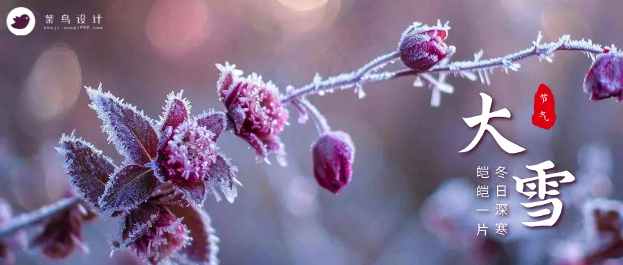大雪公众号首图