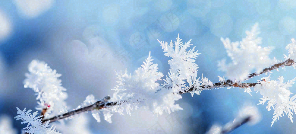 冰冻预警暴雪预警通知公告背景